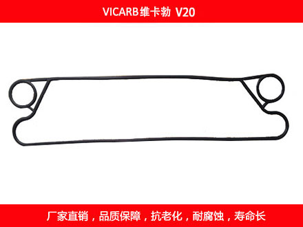 V20 plate heat exchanger gasket