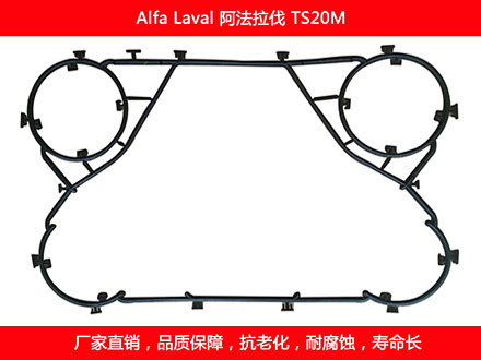 TS20M plate heat exchanger gasket