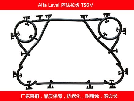 TS6M plate heat exchanger gasket
